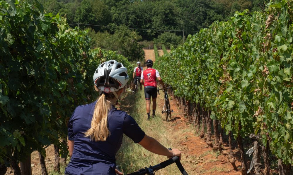 Ride and wine (how bike matches with several other segment)
